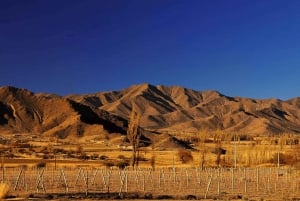 De Salta: Cafayate, Cachi e Humahuaca em 3 dias completos