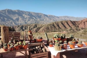 De Salta: Cafayate, Cachi e Humahuaca em 3 dias completos