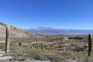 De Salta: Cafayate, Cachi e Humahuaca em 3 dias completos