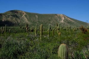 De Salta: Cafayate, Cachi e Humahuaca em 3 dias completos