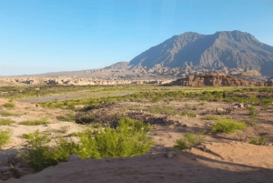 Fra Salta: Cafayate, Cachi og Salinas Grandes på 3 dager