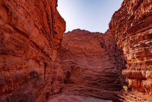 Fra Salta: Cafayate, Cachi og Salinas Grandes på 3 dager