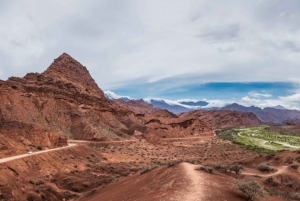 Fra Salta: Cafayate, Cachi og Salinas Grandes på 3 dager