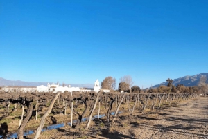 Fra Salta: Cafayate, Cachi og Salinas Grandes på 3 dager