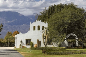 Van Salta: Cafayate, Cachi en Salinas Grandes in 3 dagen