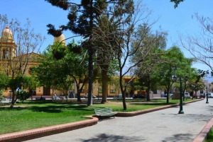 Van Salta: Cafayate, Cachi en Salinas Grandes in 3 dagen