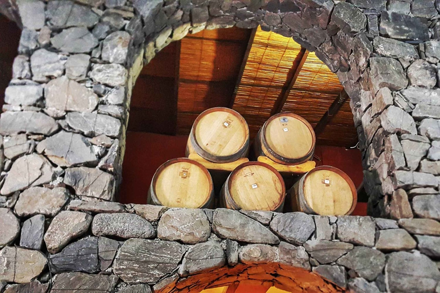 Fra Salta: Dagstur til Cafayate med vinsmaking