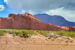 From Salta: Cafayate Day Trip with Wine Tasting