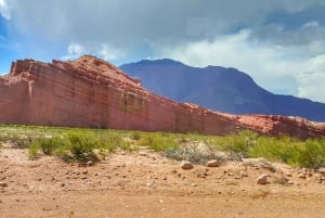 Fra Salta: Dagstur til Cafayate med vinsmaking