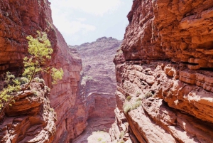 De Salta: Cafayate, Humahuaca e Salinas Grandes em 3 dias