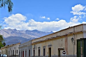 Från Salta: Cafayate, Humahuaca, Cachi och Salinas Grandes