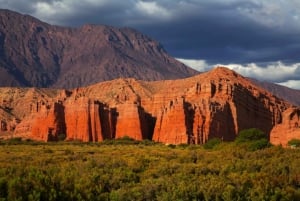 Från Salta: Cafayate, Salinas Grandes, och Hornocal Tour