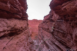 Van Salta: Cafayate, Salinas Grandes en Hornocal Tour