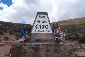 From Salta: Cafayate, Salinas Grandes, & Hornocal Tour
