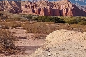 Saltasta: Cafayate ja Salinas Grandes – Viinilaaksot ja suolatasangot – 2 päivää