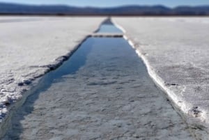 Saltasta: Cafayate ja Salinas Grandes – Viinilaaksot ja suolatasangot – 2 päivää
