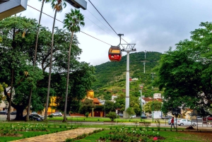 Fra Salta: Byrundtur i byen på en halvdagstur