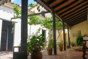 Fra Salta: Byrundtur i byen på en halvdagstur