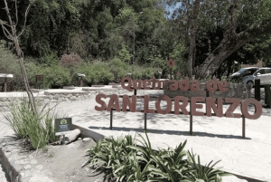 Fra Salta: Byrundtur i byen på en halvdagstur