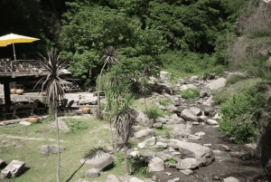 Fra Salta: Byrundtur i byen på en halvdagstur