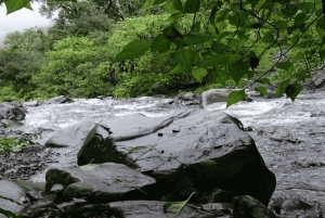 Fra Salta: Byrundtur i byen på en halvdagstur