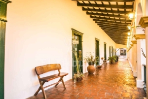 Fra Salta: Byrundtur i byen på en halvdagstur