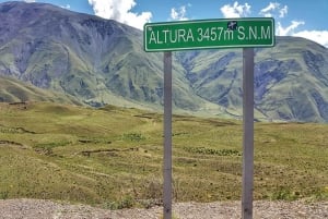 Saltasta: Salta: Päiväretki Cachiin ja Calchaquín laaksoihin