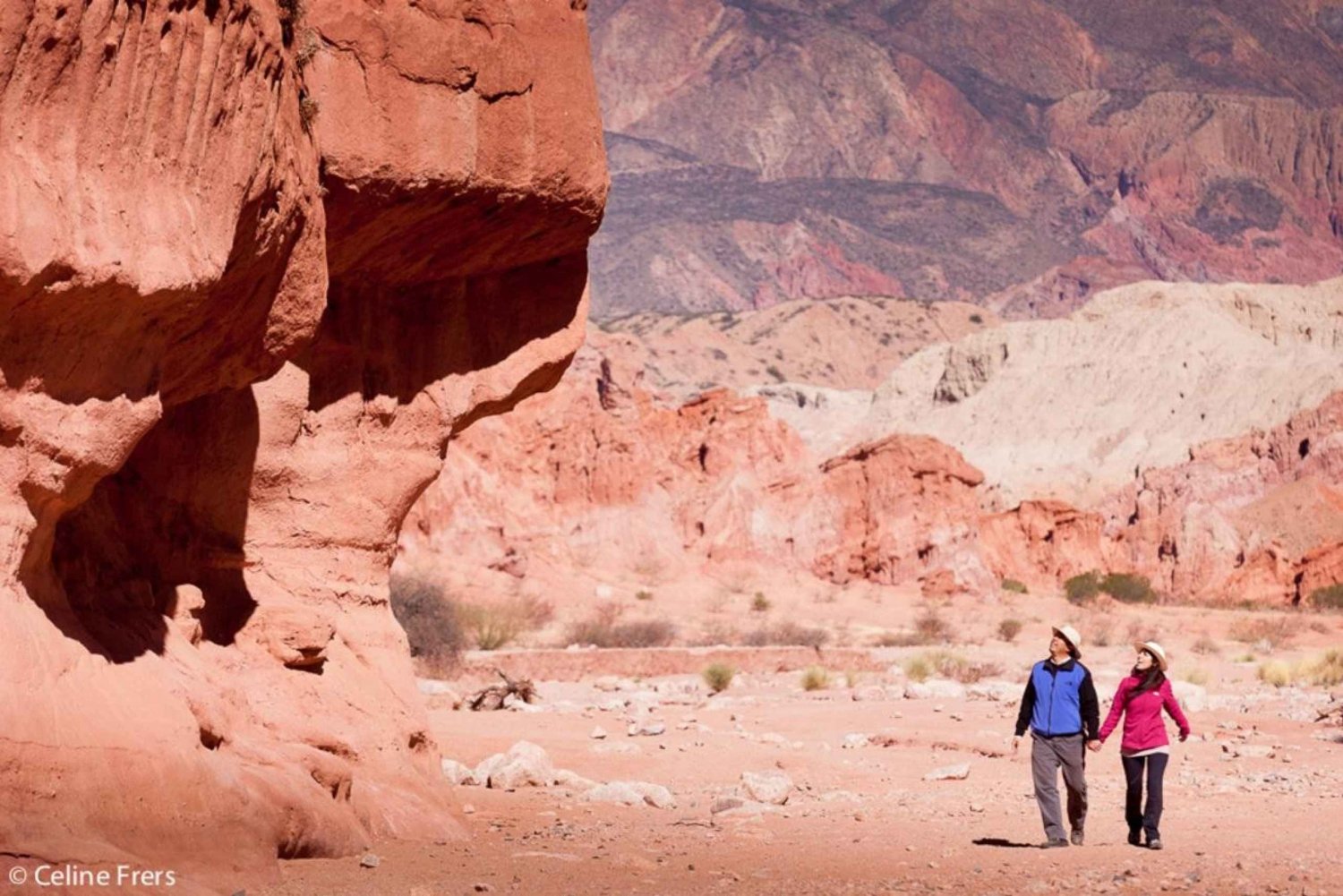 Ab Salta: Tagestour nach Cafayate