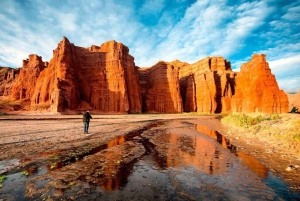 Från Salta: Dagsutflykt till Cafayate