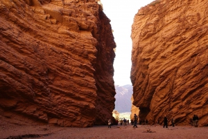 From Salta: Day Trip to Cafayate