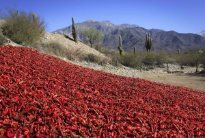 From Salta: Full-day excursions through Cachi and Humahuaca