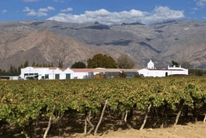 From Salta: Full-day excursions through Cafayate and Cachi