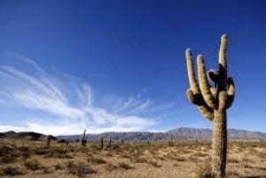 Au départ de Salta : Excursions d'une journée à Cafayate et Cachi