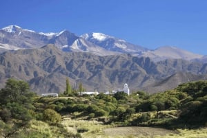 Von Salta aus: Ganztägige Ausflüge durch Cafayate und Cachi