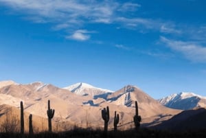 Vanuit Salta: Excursies van een hele dag door Cafayate en Cachi