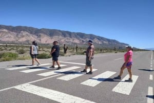 Vanuit Salta: Excursies van een hele dag door Cafayate en Cachi