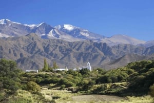 Desde Salta: Excursiones de día completo por Cafayate y Cachi