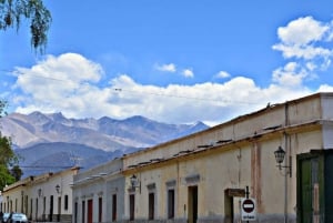 Vanuit Salta: Excursies van een hele dag door Cafayate en Cachi