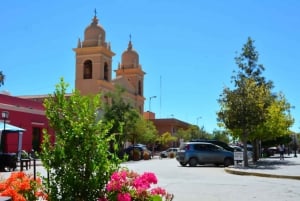 Vanuit Salta: Excursies van een hele dag door Cafayate en Cachi