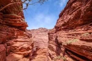 Au départ de Salta : Excursions d'une journée à Cafayate et Cachi