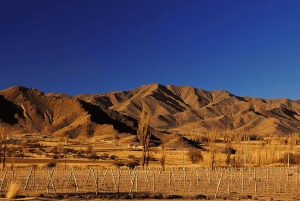 Au départ de Salta : Excursions d'une journée à Cafayate et Cachi