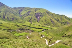 Au départ de Salta : Excursions d'une journée à Cafayate et Cachi