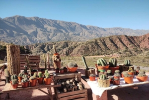 Au départ de Salta : Excursions d'une journée à Cafayate et Cachi