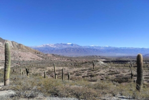 Au départ de Salta : Excursions d'une journée à Cafayate et Cachi