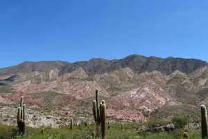 Au départ de Salta : Excursions d'une journée à Cafayate et Cachi