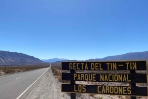 Au départ de Salta : Excursions d'une journée à Cafayate et Cachi