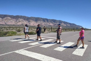 Au départ de Salta : Excursions d'une journée à Cafayate et Cachi