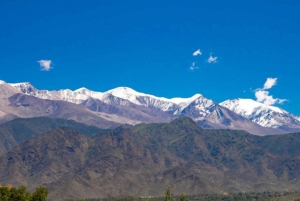 Au départ de Salta : Excursions d'une journée à Cafayate et Cachi
