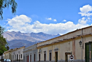 Au départ de Salta : Excursions d'une journée à Cafayate et Cachi