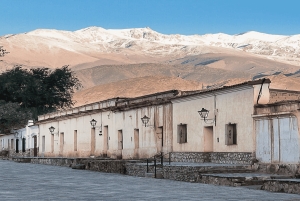 Au départ de Salta : Excursions d'une journée à Cafayate et Cachi